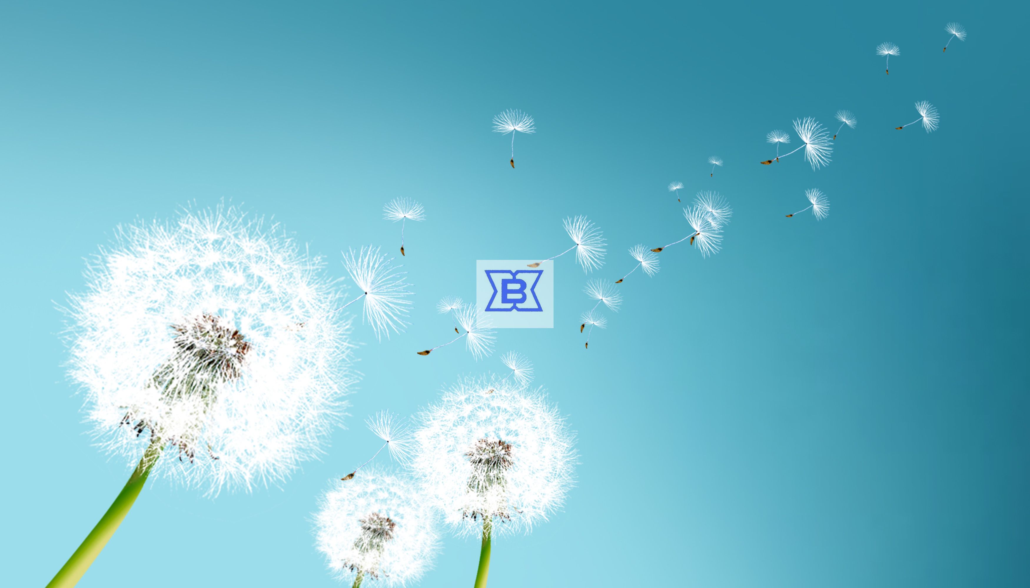 k8凯发(中国)天生赢家·一触即发